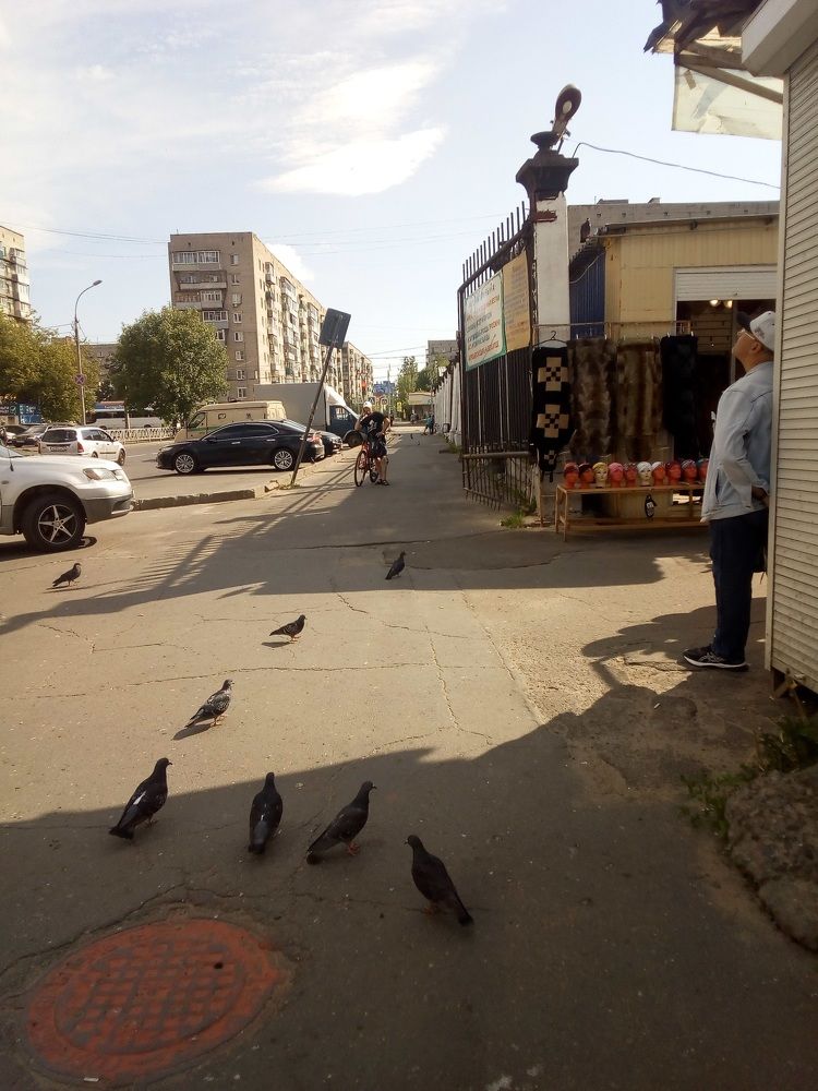 Photograph by Александр Веников