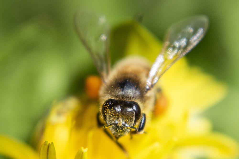 Photograph by Алексей Борисов