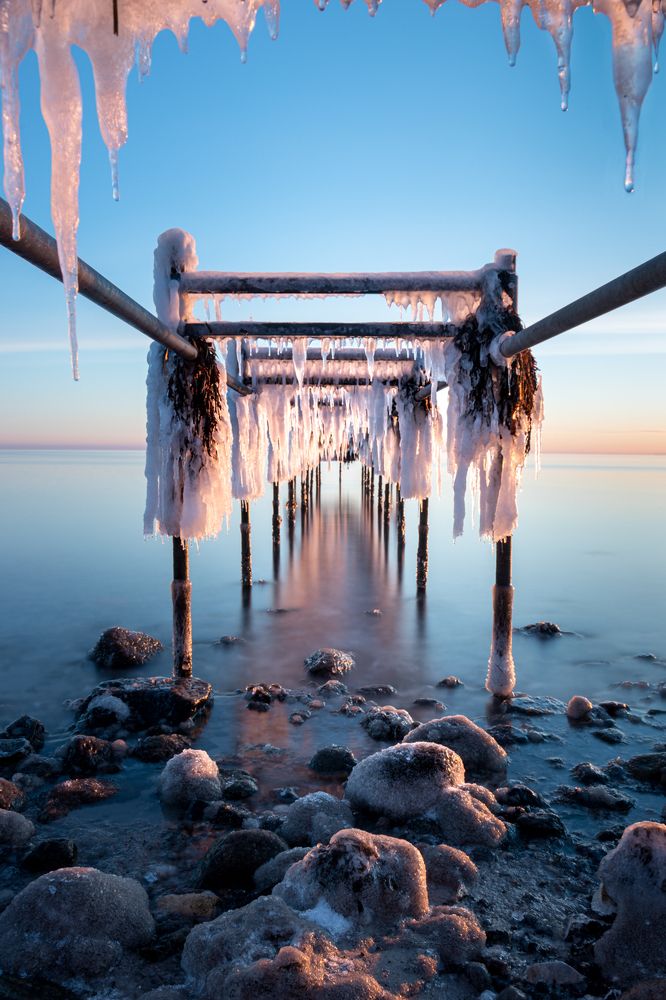 Photograph by Jesper Fried Vive