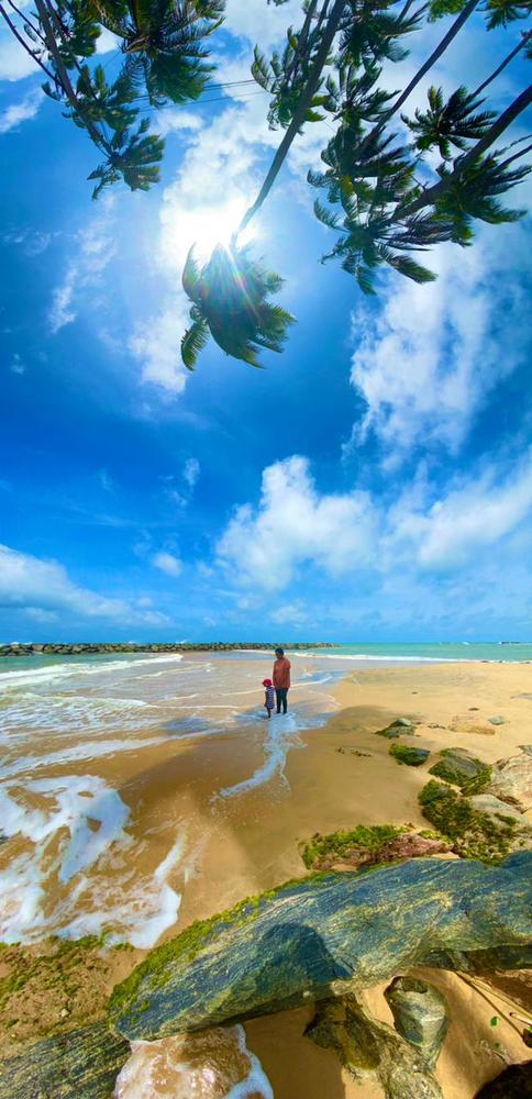 Фотография автора Francisco Ethige Silva