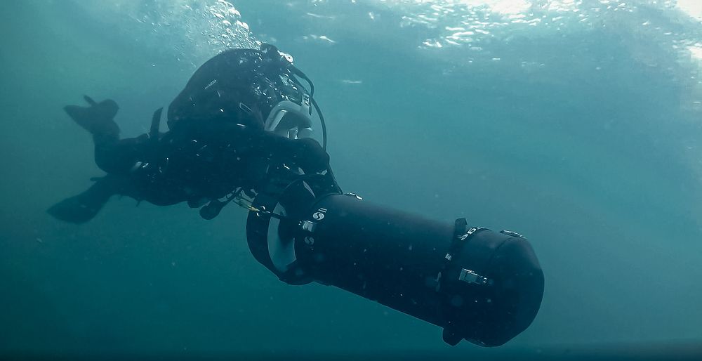 Photograph by Николаева Светлана