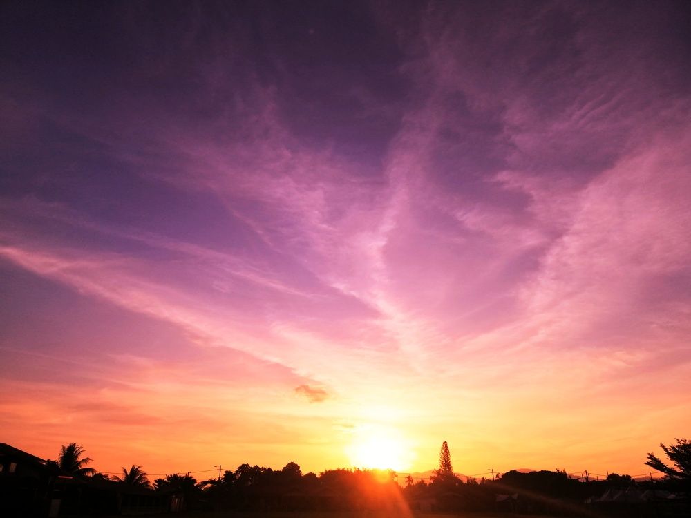 Photo #6524130