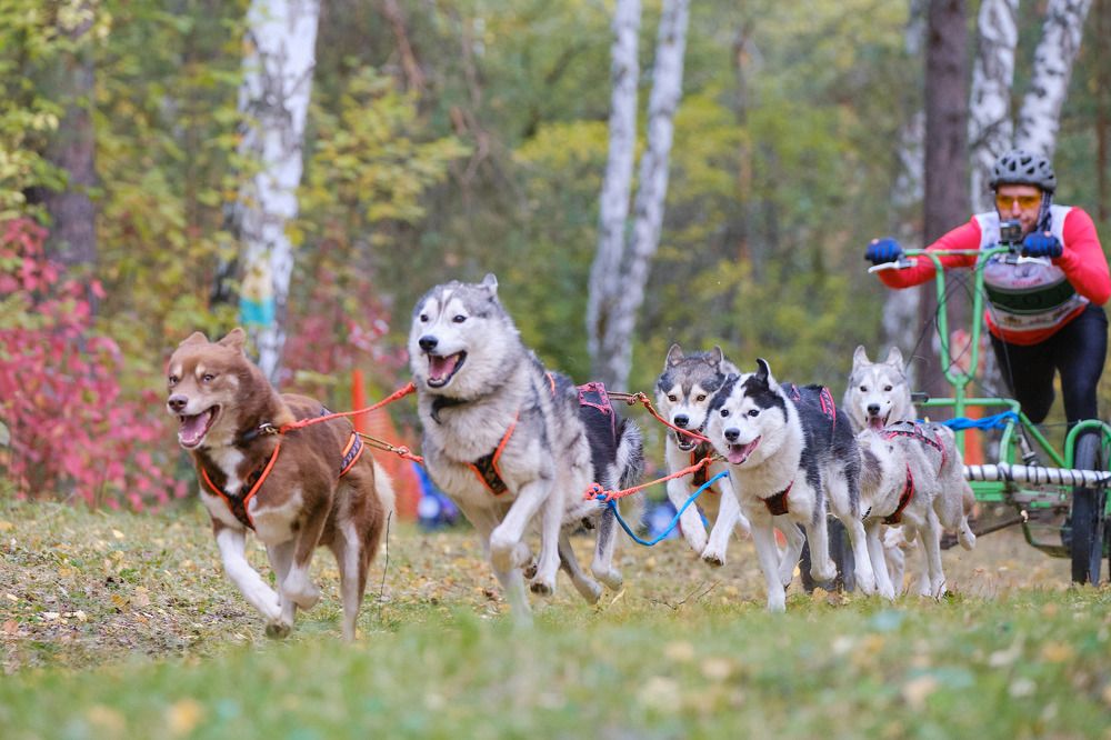 Photograph by Екатерина