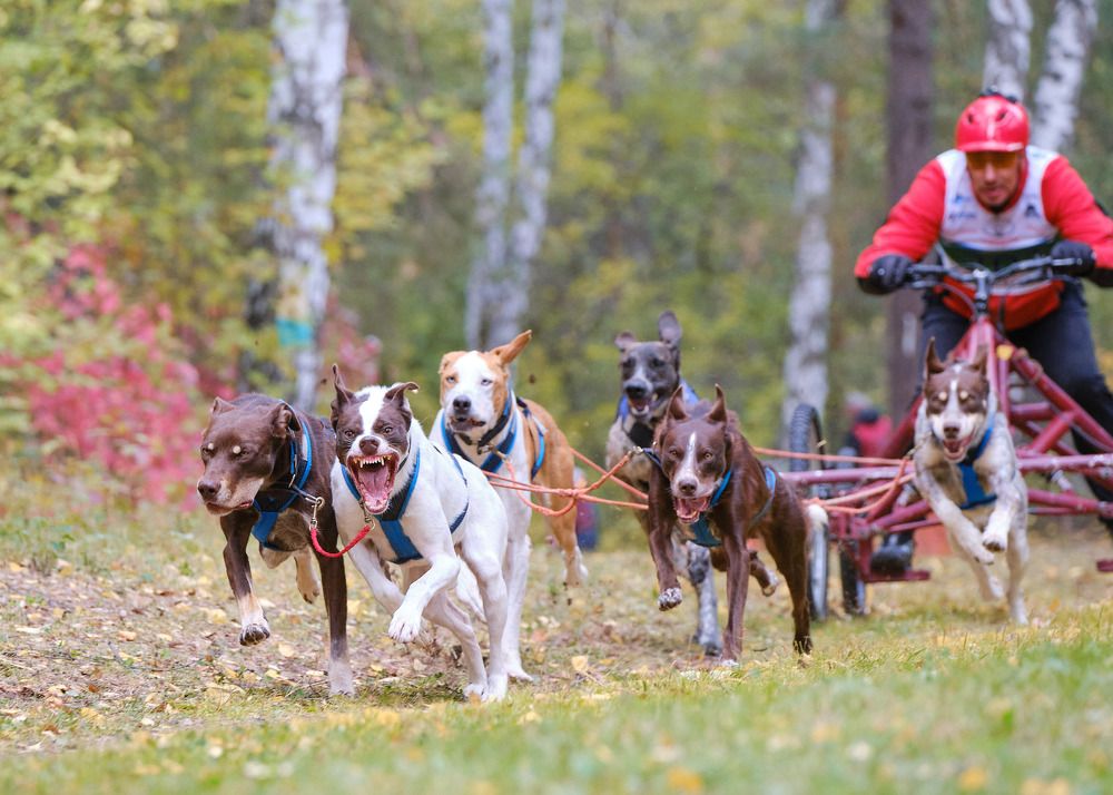 Photograph by Екатерина