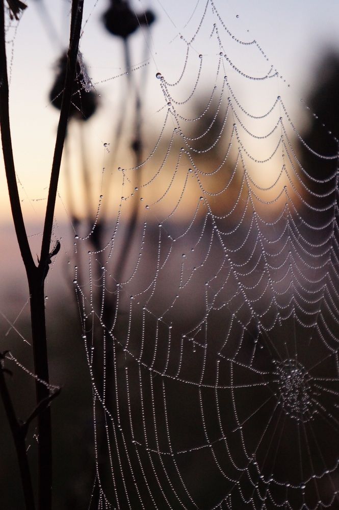 Photograph by Анастасия Шайдорова