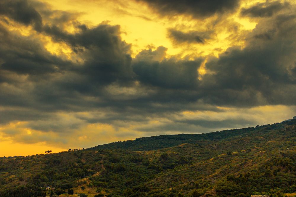 Photograph by 