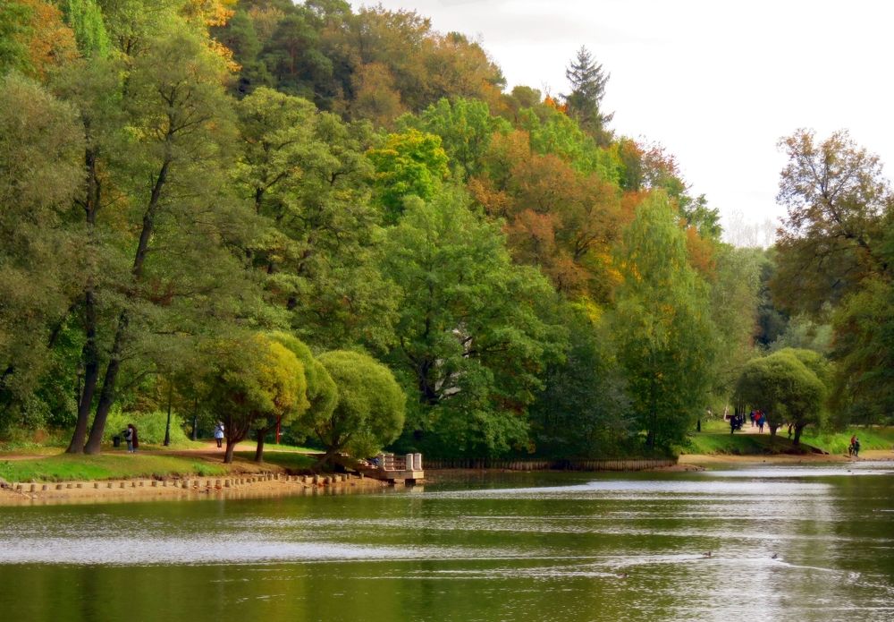 Солнечный денёк.