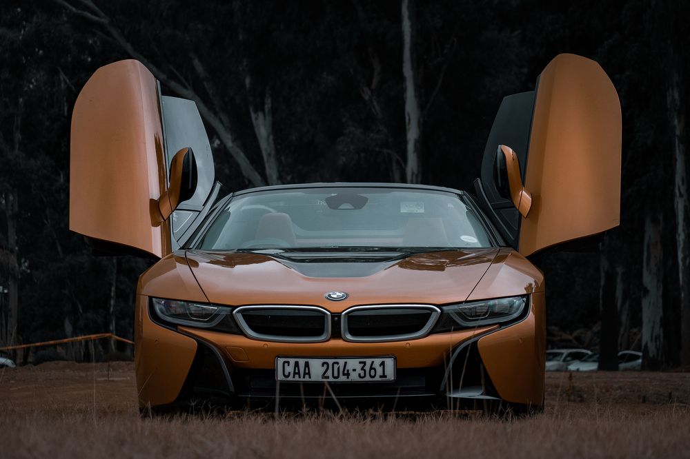 Photograph by Zandri Gillespie