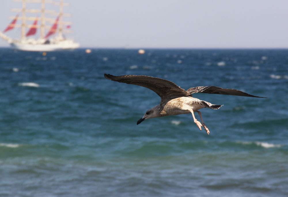 Photograph by Алиса