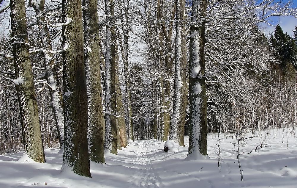 Фотография автора  Галина