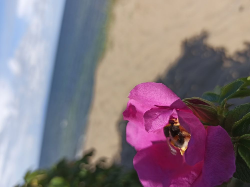 Photograph by Анна Марщикова