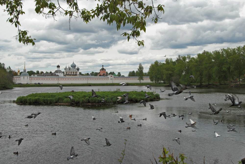 Птичья свора у стен обители