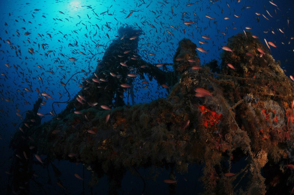 Photograph by Alfredo Milazzo