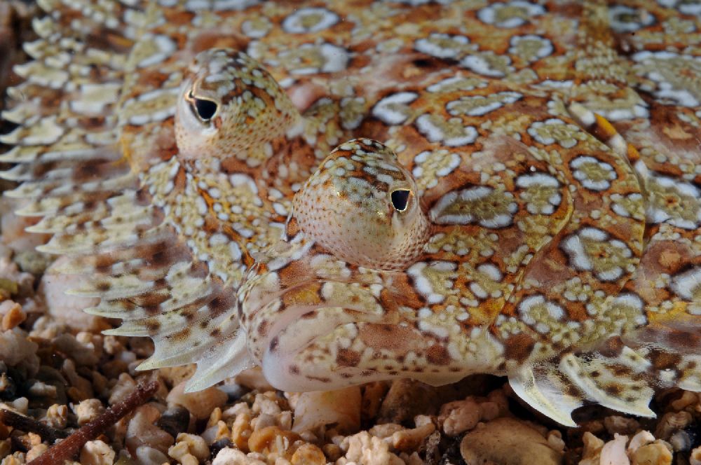 Photograph by Alfredo Milazzo