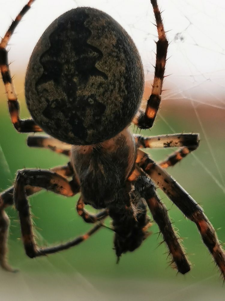 Photograph by Raitis Miksons