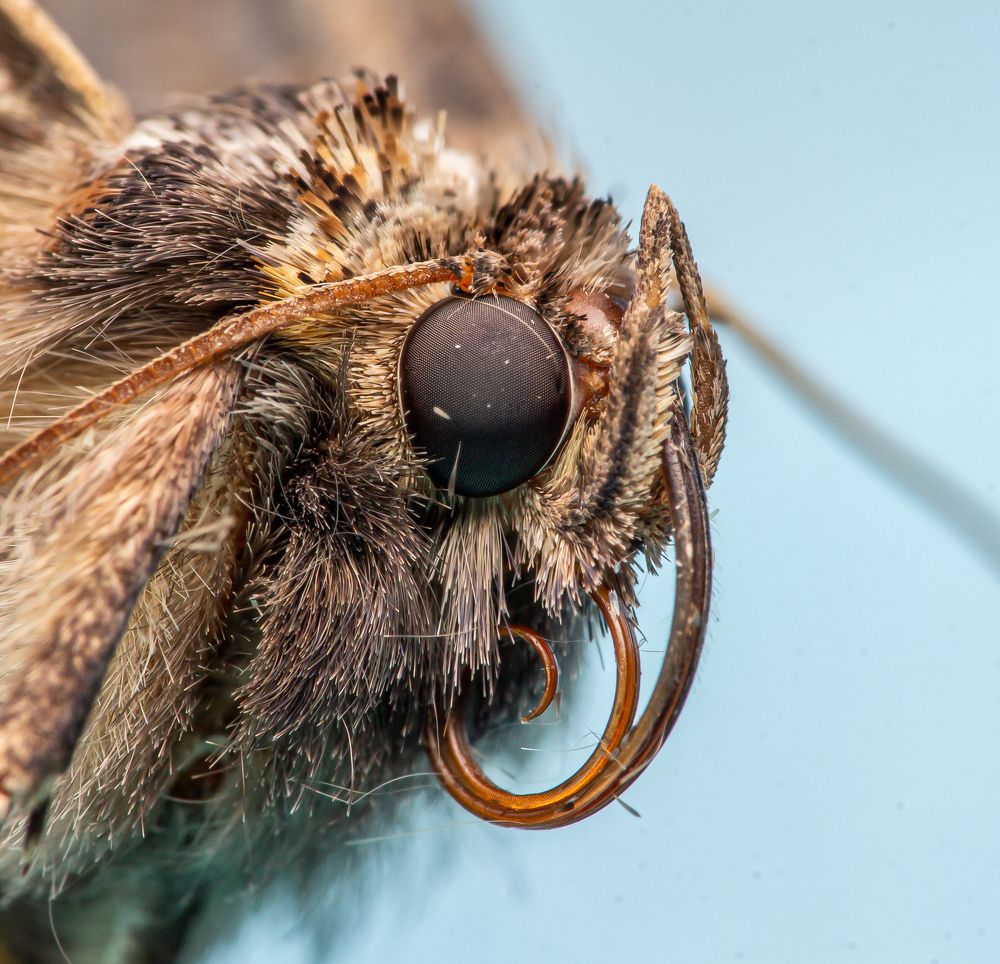 Photograph by Jakub Krysztofiński