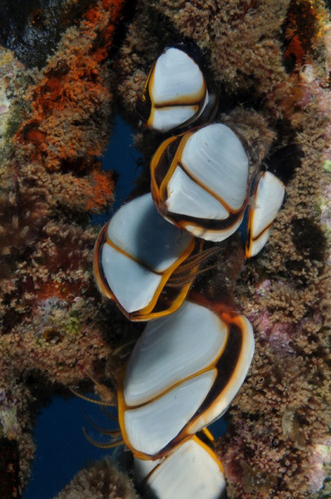 Photograph by Alfredo Milazzo