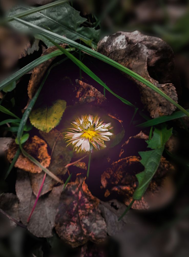 Photograph by Елена Лепешкина