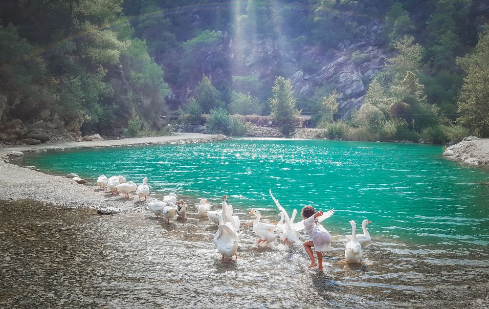 Photograph by Анна Пикаленко