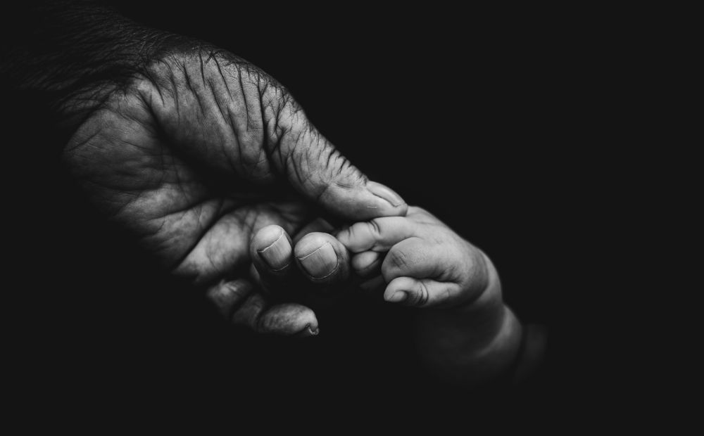 Photograph by Petrovici Viorel