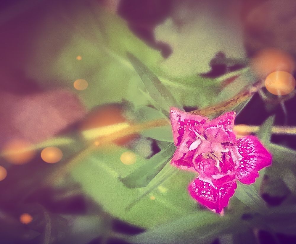 Photograph by Елена Лепешкина