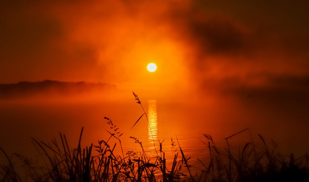 Утро на реке