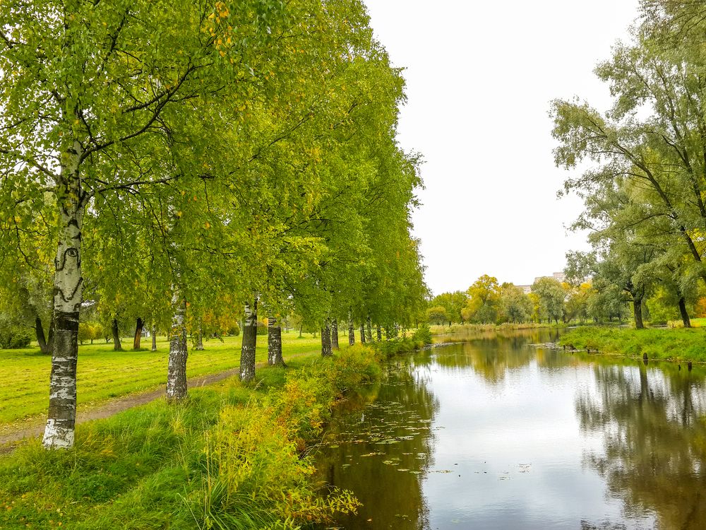 Устье Сосновки