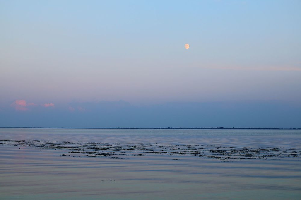 Photograph by Юрий Варюхин