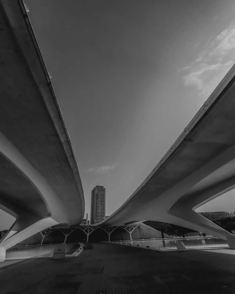 Photograph by Alin Cota
