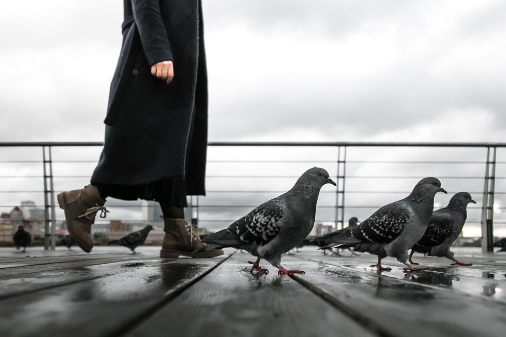 Photograph by Гульшат Хаертдинова