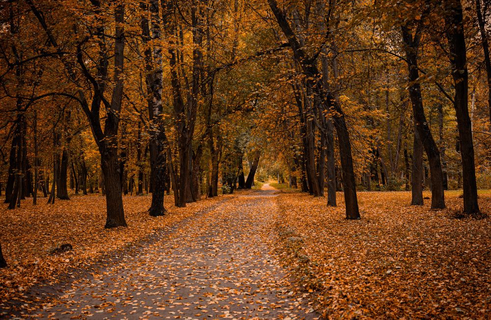 Photograph by Лев Постнов