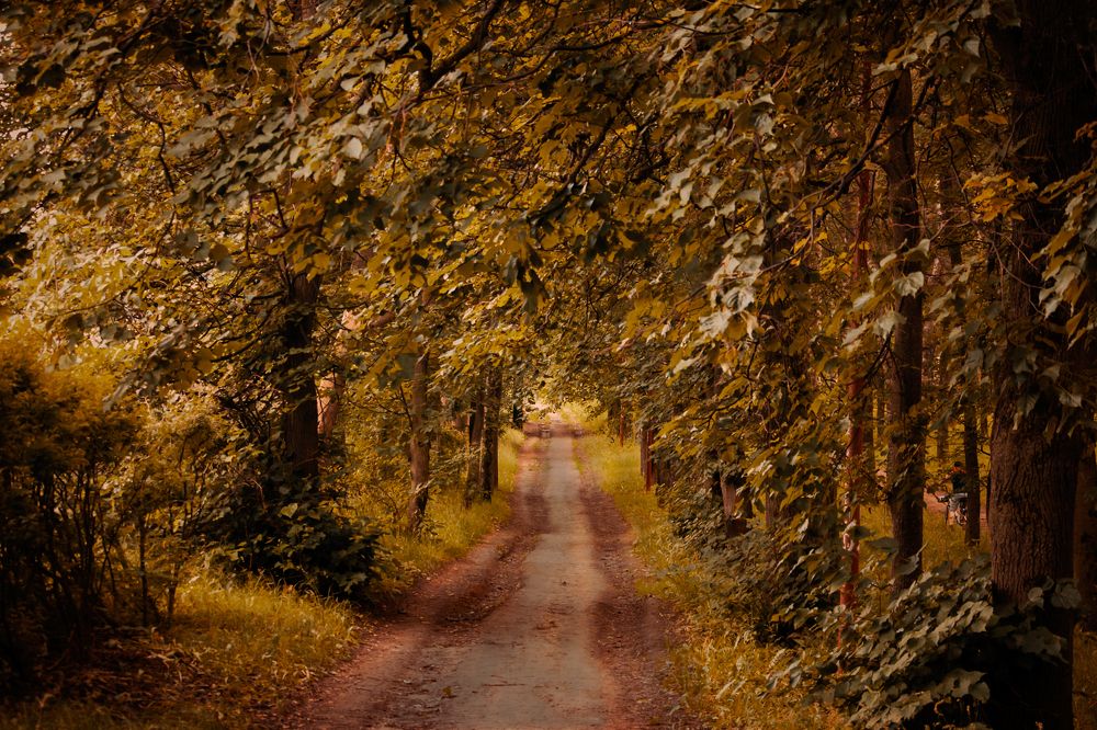 Photograph by Лев Постнов