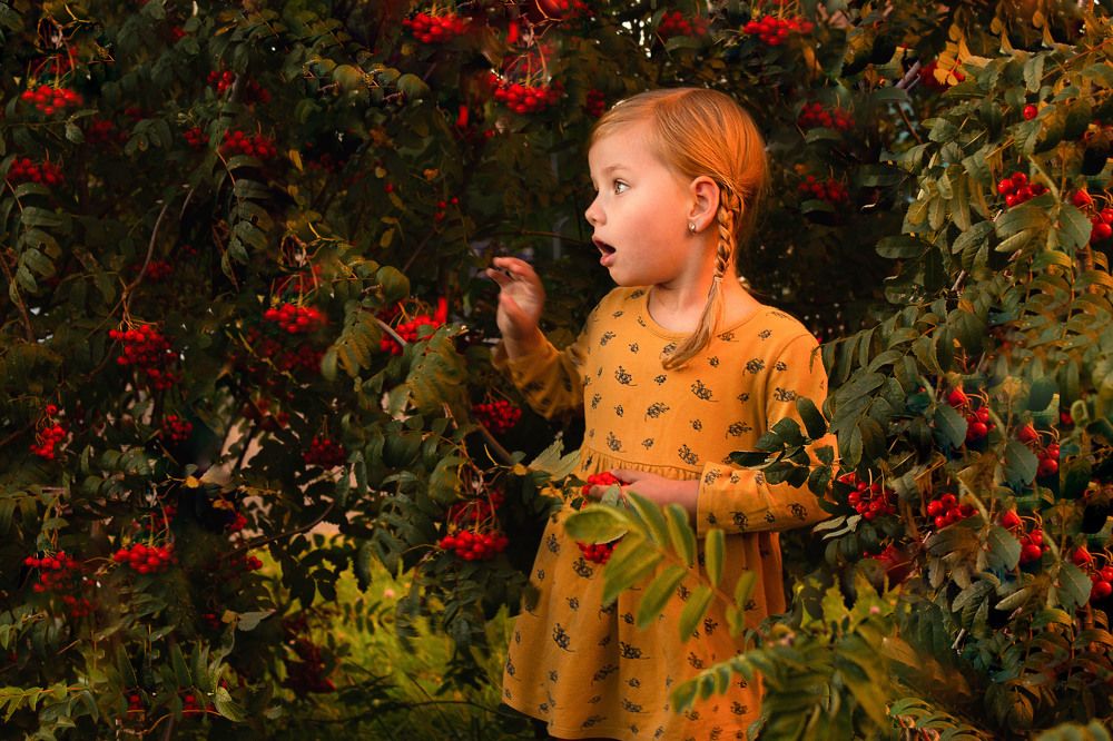 Фотография автора Изабелла Нечаева