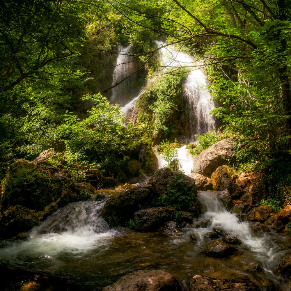 Фотография автора Панагушин Сергей