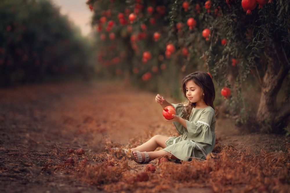 Photograph by Lena Shafran