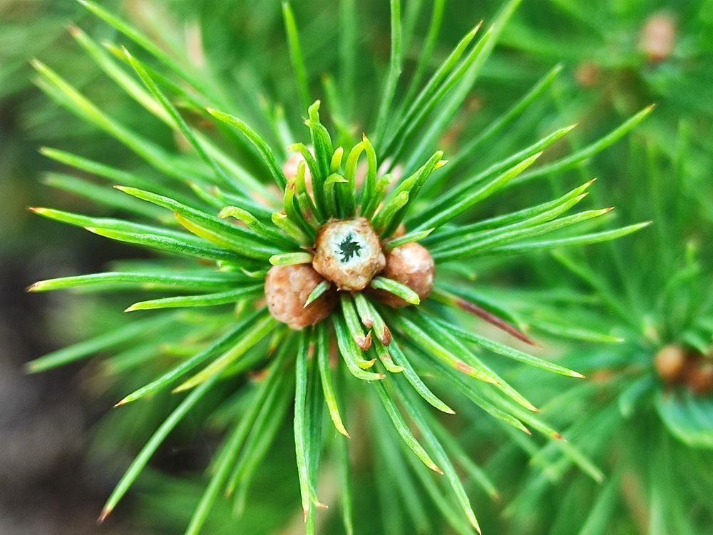 Photograph by Ирина Алексеевская