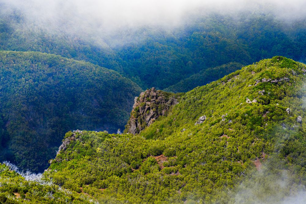 mist in the old mountain