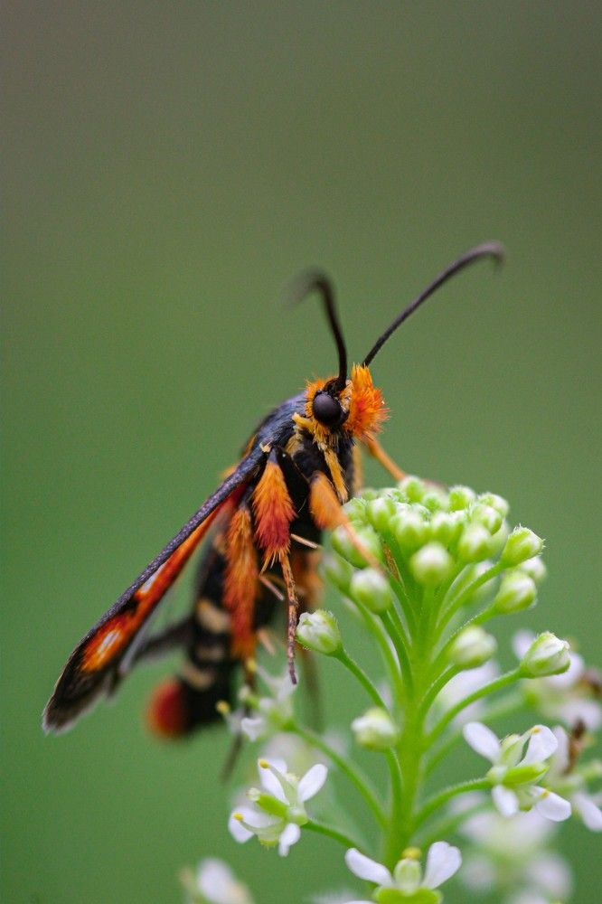 Photograph by Rastin Haghighi