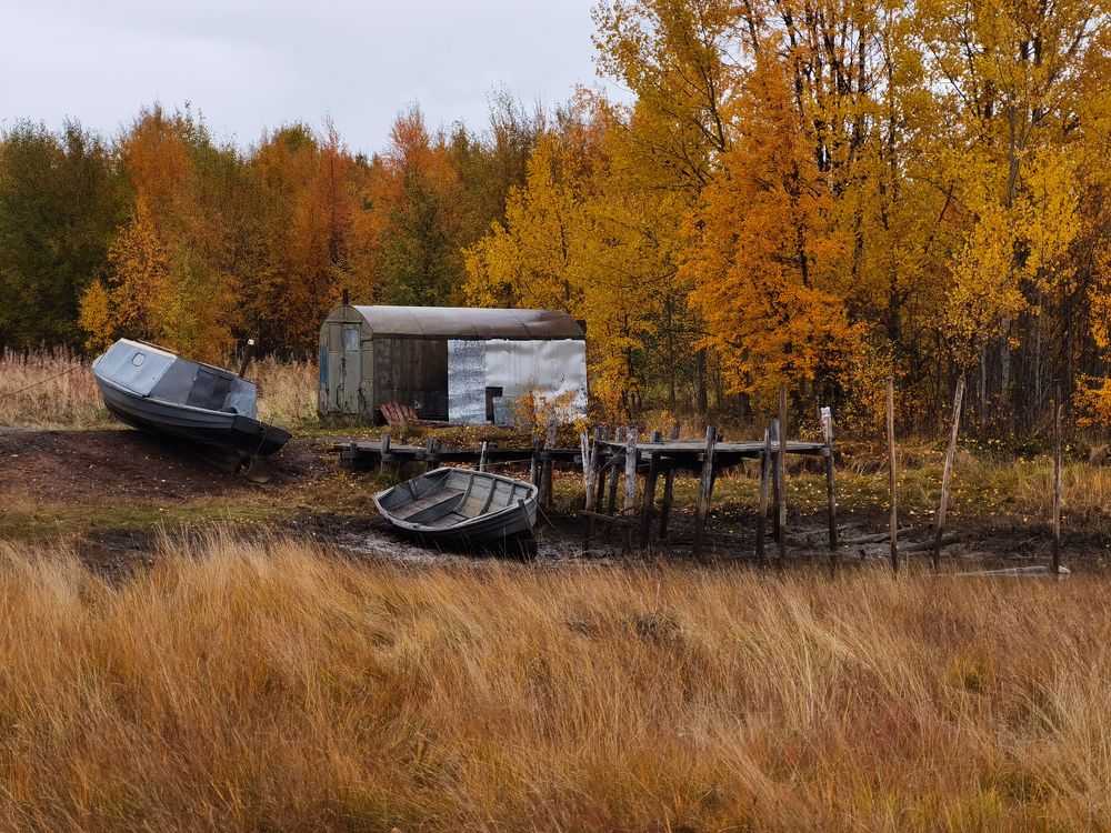 Photograph by Дарья