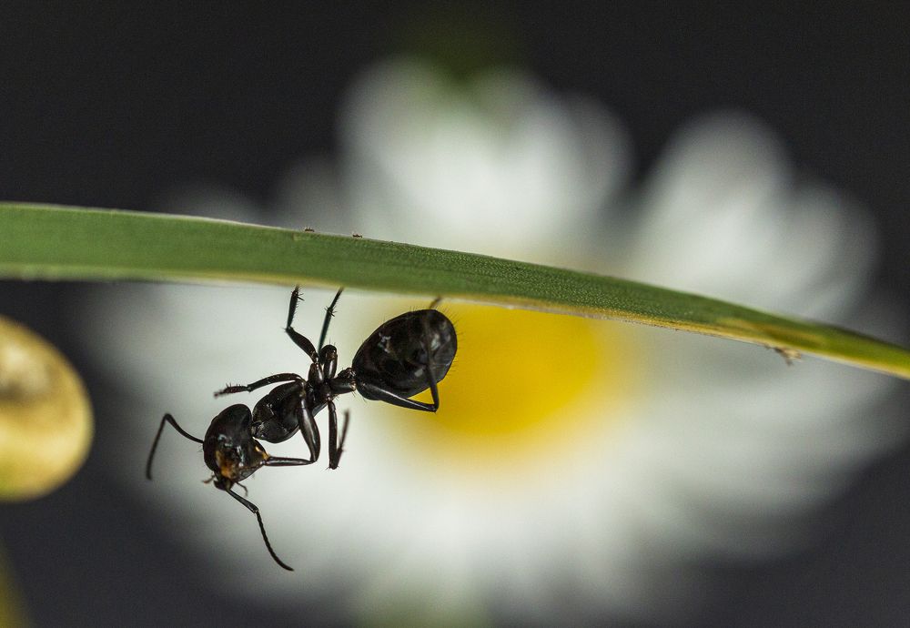 Photograph by Sergey Tsubanov