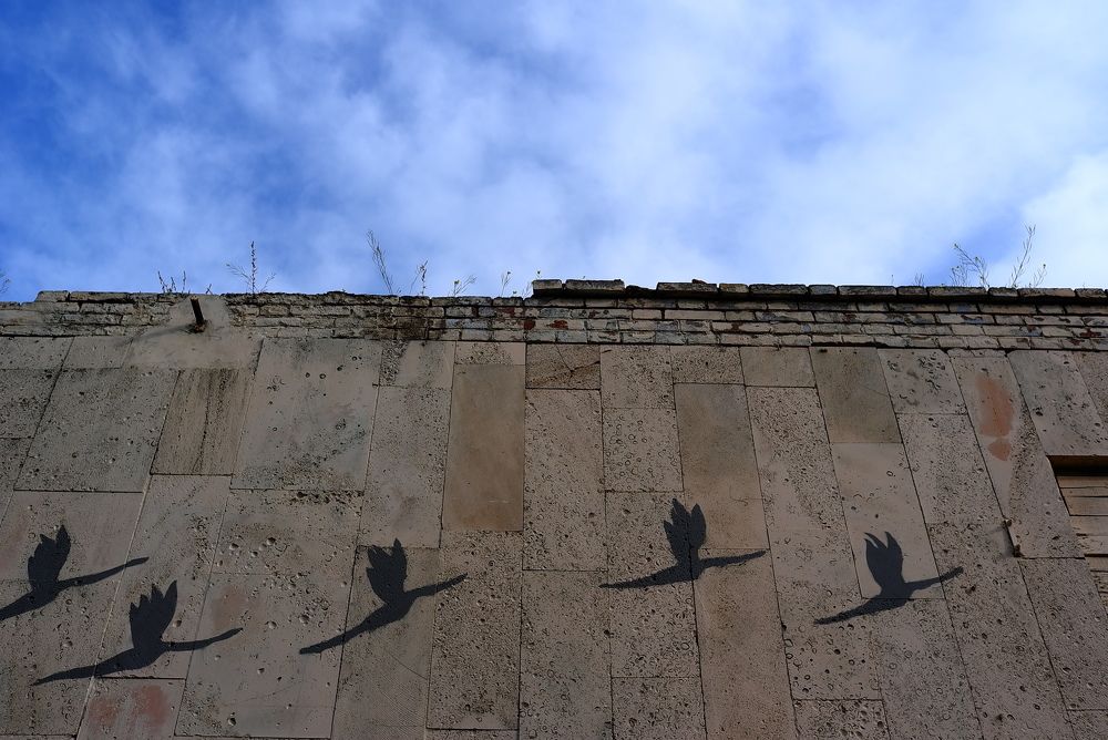 Photograph by Irina Kromm