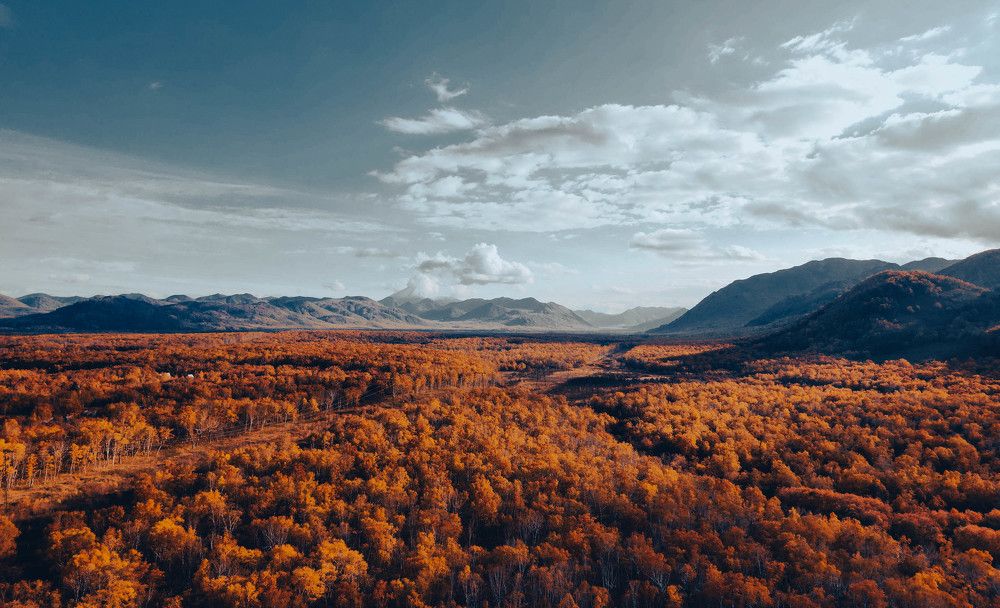 Photograph by Юлия Тельпова