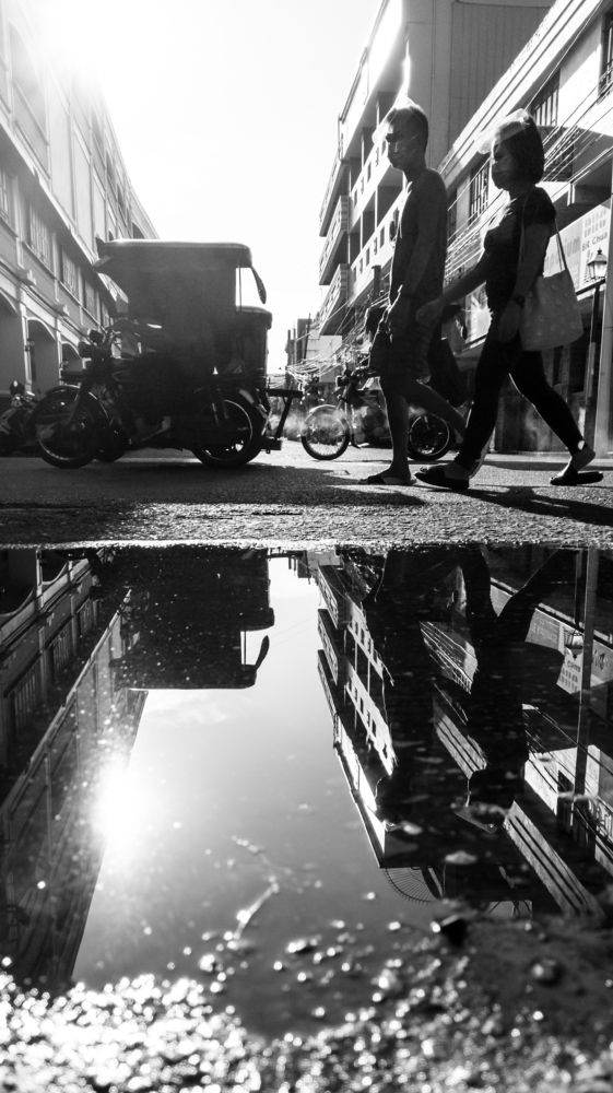 Photo #6525747