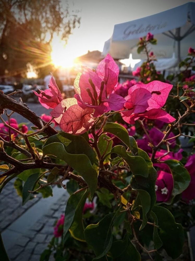 Photograph by Алексей Митницкий