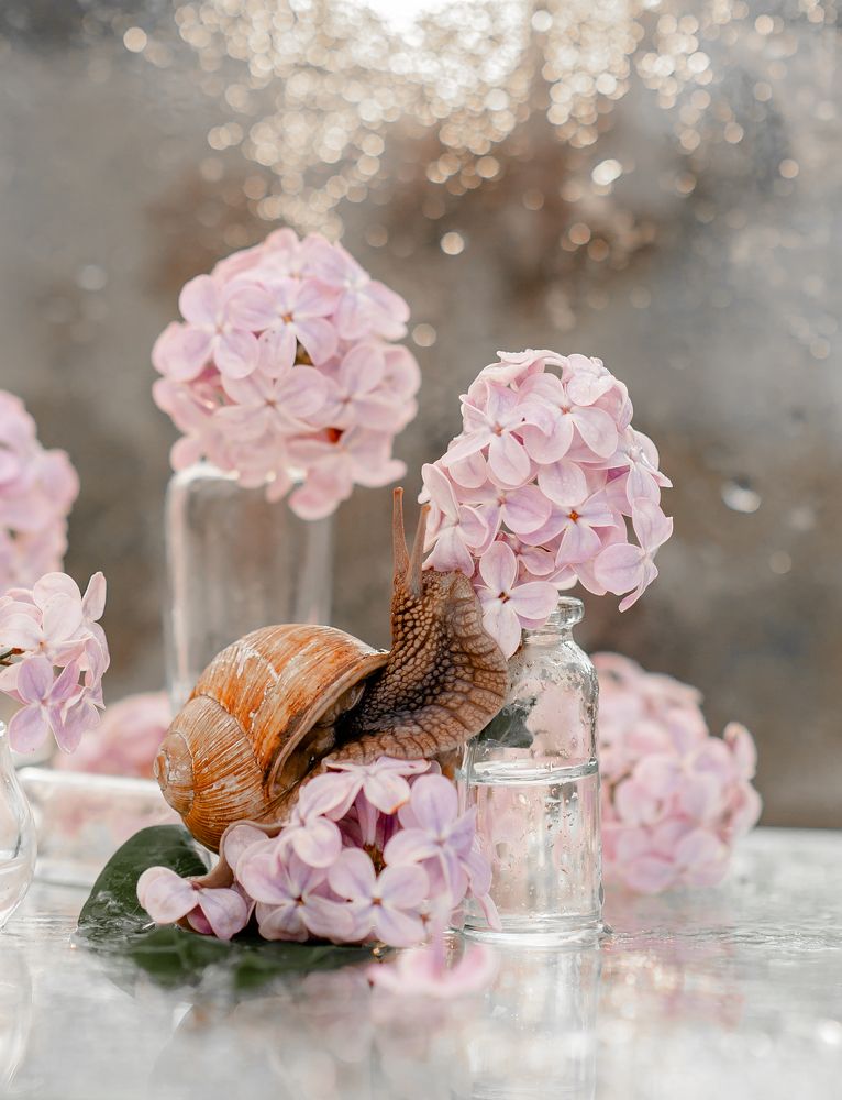 Photograph by Яна Украинец