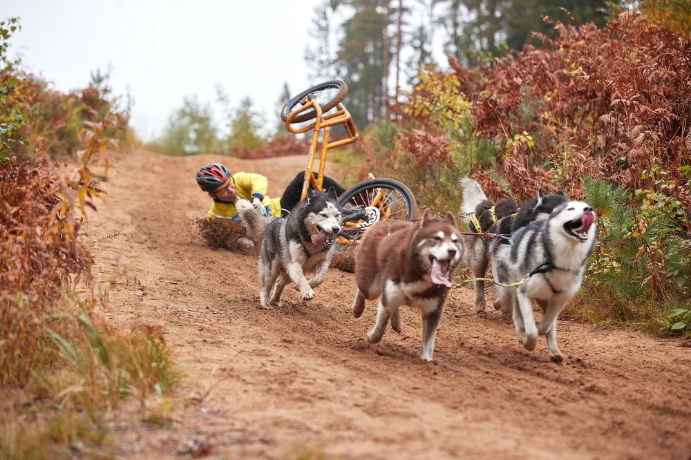 Photograph by Лана Полякова