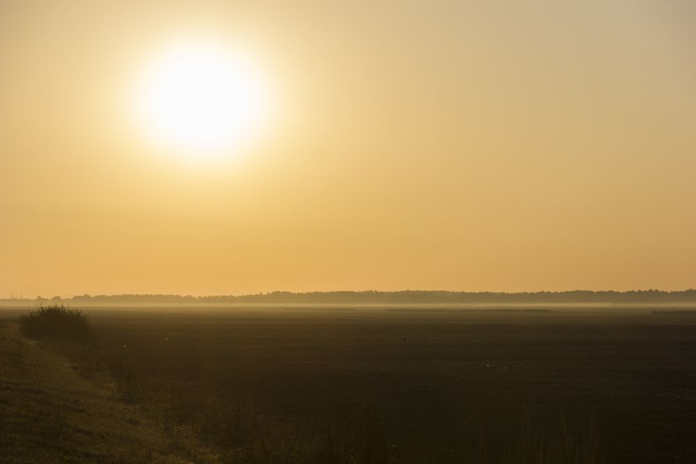 Photograph by Anna Gapanovich