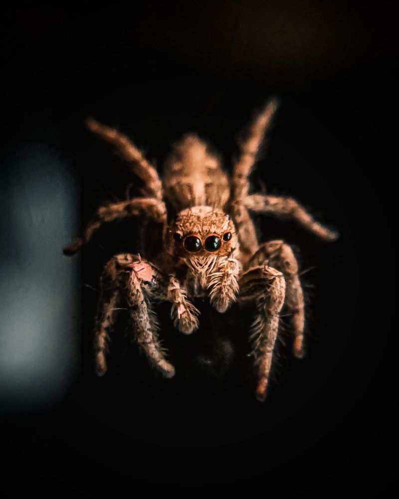 Photograph by Vikas Yadav