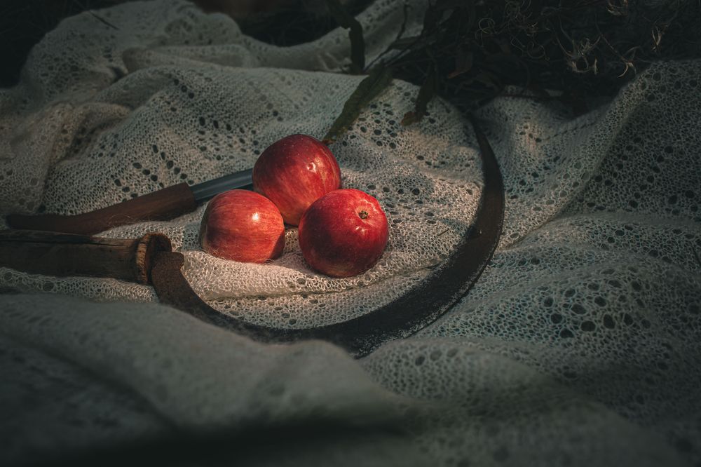 Фотография автора Алина Филатова