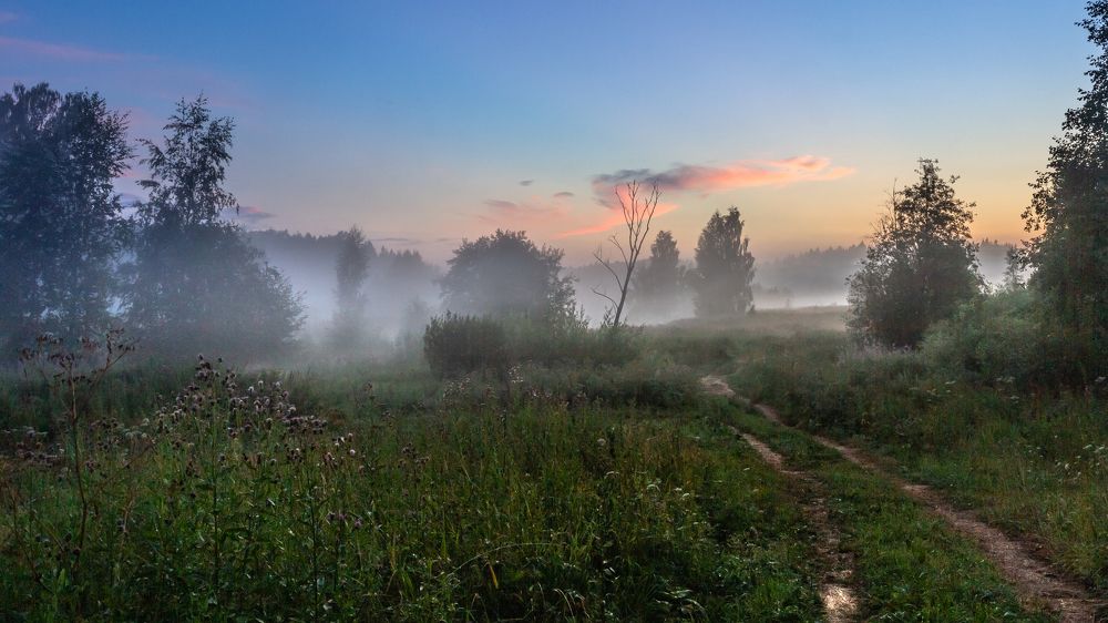 МОЛОЧНЫЙ ТУМАН